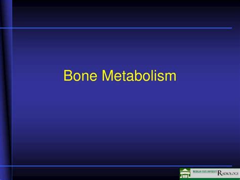 PPT - Bone Metabolism PowerPoint Presentation, free download - ID:3143726