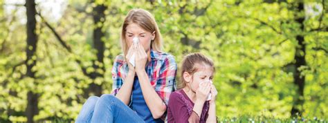 Seasonal Allergies Causes, Symptoms, and Treatments – Lifeable