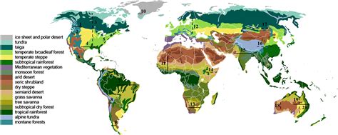 Wetlands Biome Map