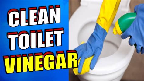 How To Clean A Toilet With Vinegar - YouTube