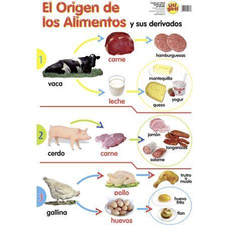 Alimentos De Origen Animal Para Colorear