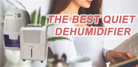 Best Quiet Dehumidifier - AirProfessor.com