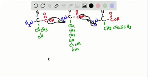 SOLVED:Draw the structure of a tripeptide containing only serine.