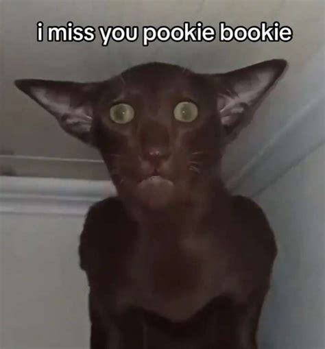 miss you pookie | Pookie | Know Your Meme