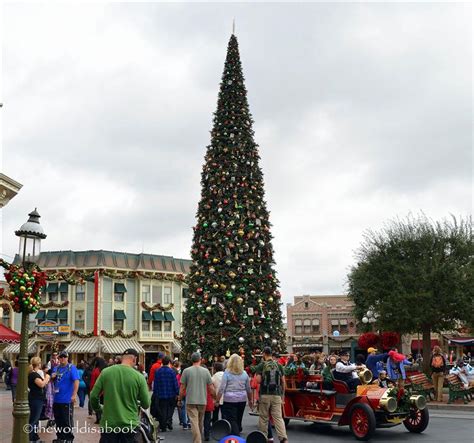 The Magic of Christmas at Disneyland - The World Is A Book