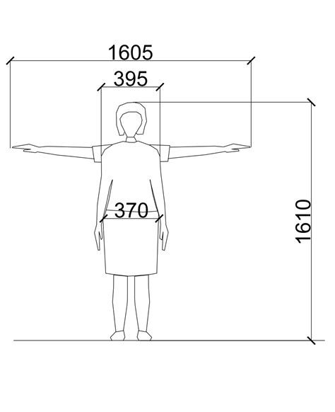 Average Male and Female Dimensions