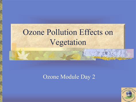 Ozone Pollution Effects on Vegetation