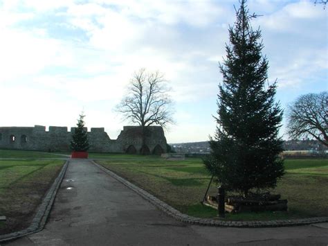 Christmas Trees in Rochester Castle... © Chris Whippet cc-by-sa/2.0 :: Geograph Britain and Ireland