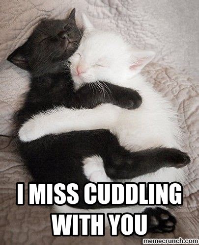 21+ Cute Memes About Cuddling - Factory Memes