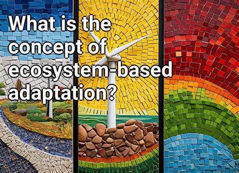 What is the concept of ecosystem-based adaptation? – Eco.Gov.Capital