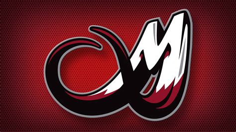 Colorado Mammoth Goalie’s Gear Stolen – CBS Denver