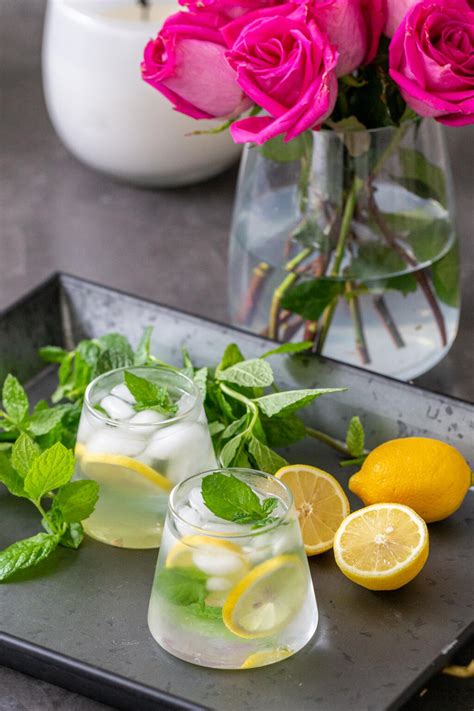 Citrus and Mint Infused Water - Momsdish