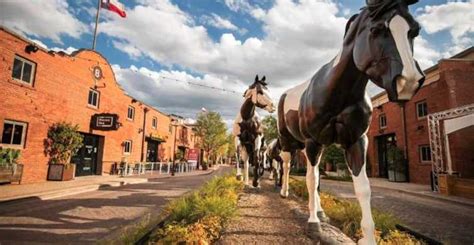 Fort Worth: Stockyards History Tour Pub Crawl | GetYourGuide