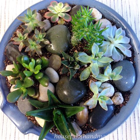 Easy Indoor Succulent Rock Garden • Crafting my Home