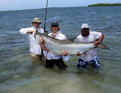 Tarpon Fishing - Turneffe Flats Belize — Turneffe Flats