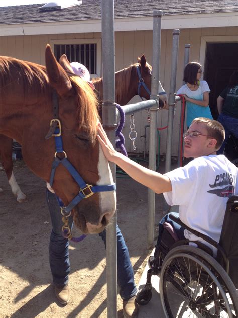 Therapy Horses are gentle and relaxed! Riders learn to read the horse's ...