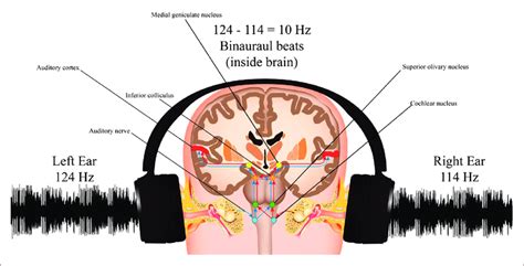 Binaural beats generated by the brain. | Download Scientific Diagram