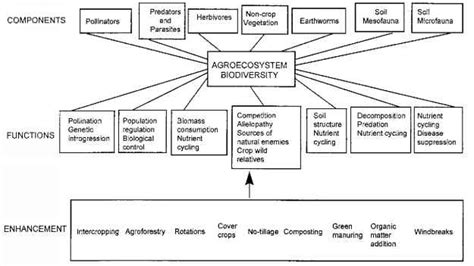 🔥 Difference between agroecosystem and natural ecosystem. Agro ...