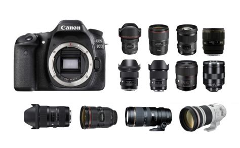 Best Lenses for Canon EOS 80D - Camera News at Cameraegg