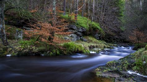 Hamsterley Forest | Hamsterley Forest - County Durham - Uk | Richard Summerson | Flickr