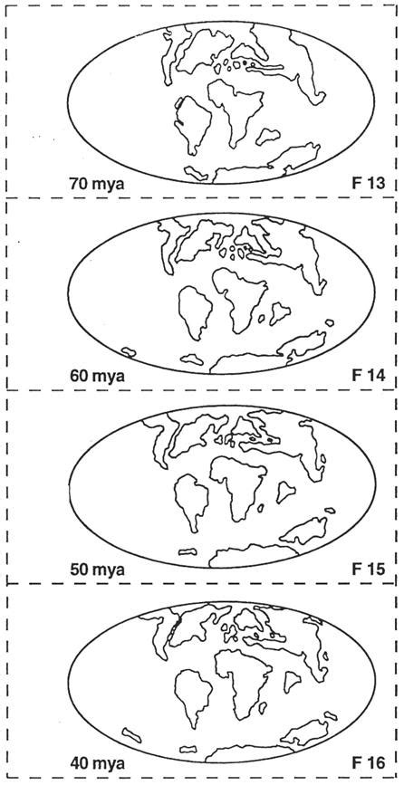 Pangaea Worksheet - Worksheets For Kindergarten