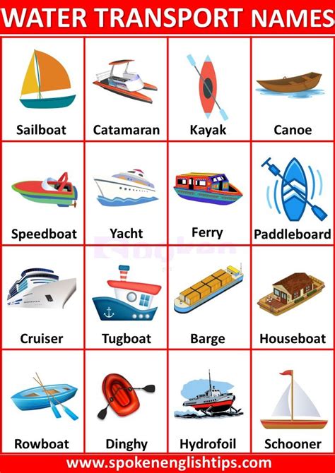 Different Types Of Water Transport With Names - Free Word Template