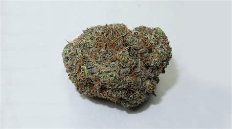 Alien Og Strain Review; Everything You Need To Know About This Bud