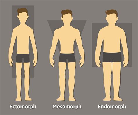 Main differences in men body types and shapes - Men's Skin Centres