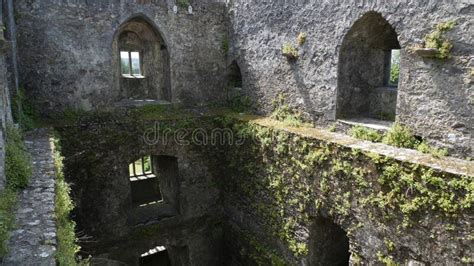 Blarney Castle Courtyard, Ireland Stock Image - Image of garden, cover: 168859003