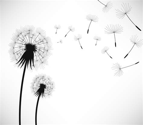 Dandelion Wind Blow Flower. | Dandelion, Flower silhouette, Dandelion ...