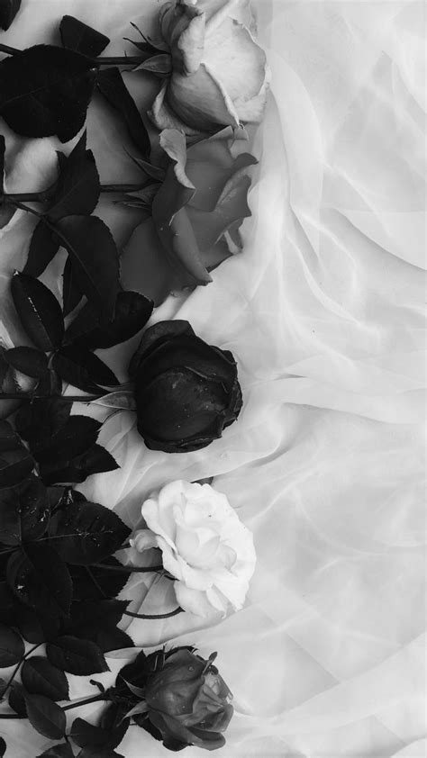 black and white roses | Black and white wallpaper iphone, Black and white roses, Black roses ...