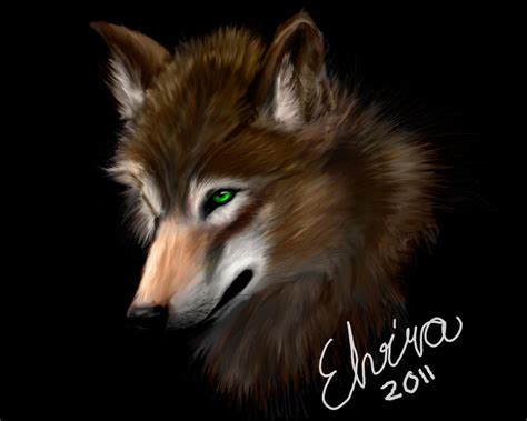 Brown Wolf by Neovirah on DeviantArt