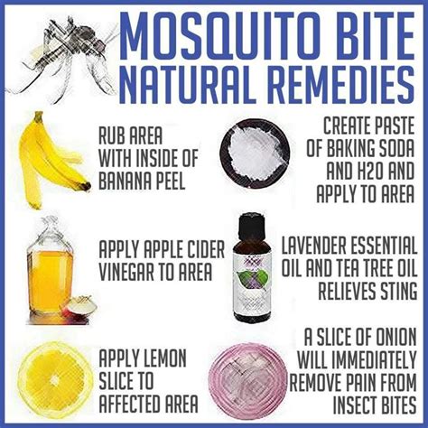 bug bite relief | heal | Pinterest