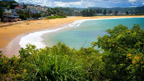 Terrigal Beach, New South Wales holiday accommodation: short-term house rentals & properties | Stayz