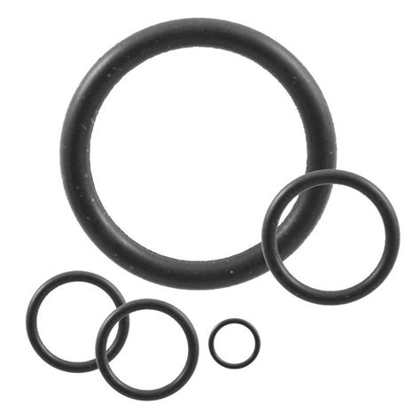 CG-308K - O-RINGS, KALREZ® 4079- Chemglass Life Sciences