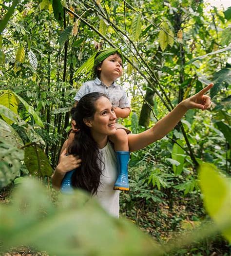 Itamandi eco lodge - Amazon Tours - Ecuador eco lodge