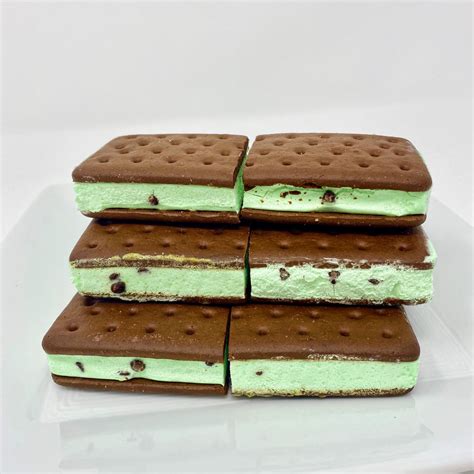 Freeze Dried Ice Cream Sandwich - Mint Chocolate- Freeze Dried Candy