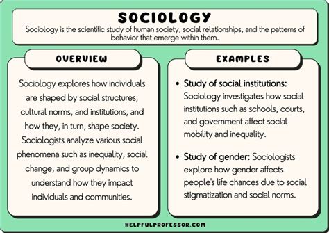 25 Sociology Examples (2024)