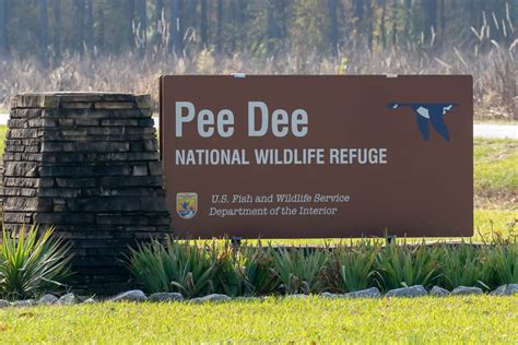 T & L Adventures: Pee Dee National Wildlife Refuge, North Carolina: 11 ...