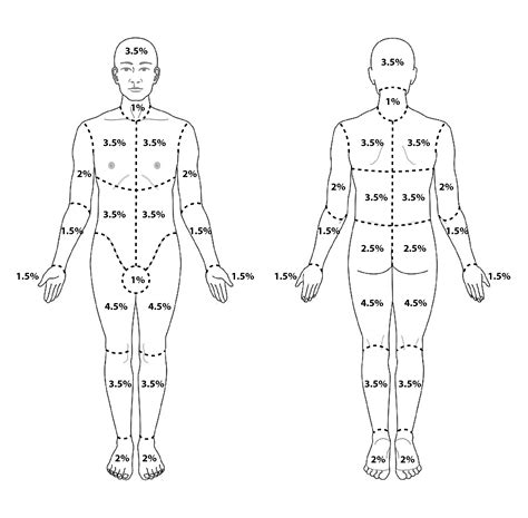 Modified Lund and Browder with no key – ProlongedFieldCare.org