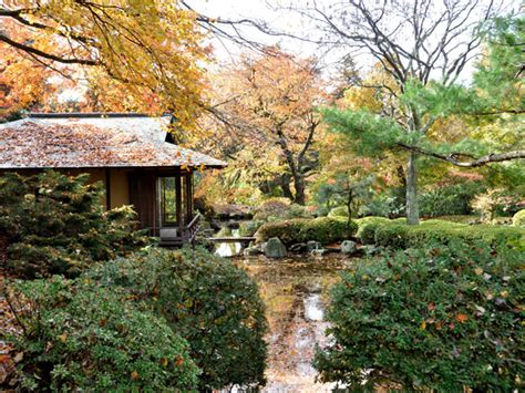 Kykuit Japanese Garden | TCLF