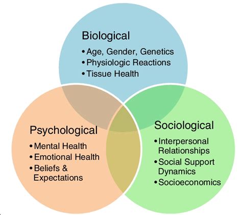 Il modello biopsicosociale - FisioScience