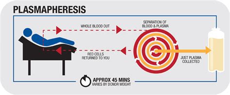 How to Donate Plasma & Make More Money Doing It - TheBossifieds