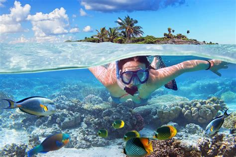 Quel est le prix d’une séance de snorkeling