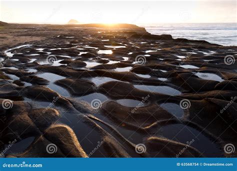 Muriwai Beach stock photo. Image of zealand, sunset, beach - 63568754