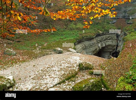 Dry Ain River Source, Conte, Jura, France Stock Photo - Alamy