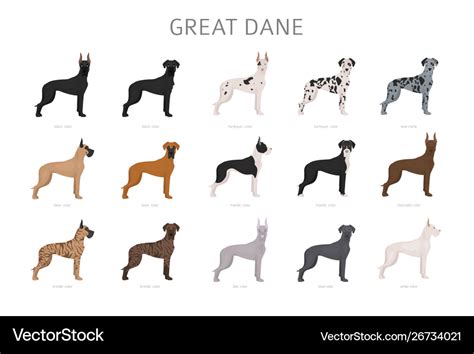 What Color Great Danes Can You Breed