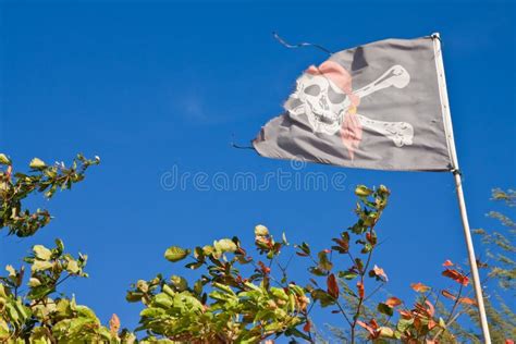 Old pirate flag stock photo. Image of danger, crossbones - 13152212