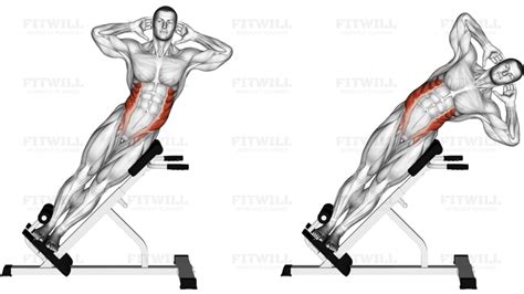 Dumbbell Side Bend: Exercise Guide, Video, Techniques, Benefits, How to, Muscles Worked, Tips ...