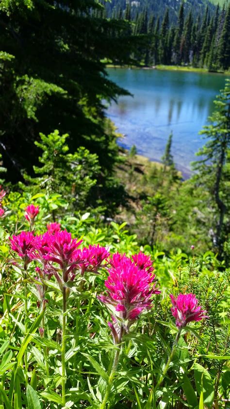 Our Hiking Adventures: Sunrise Lake Hike